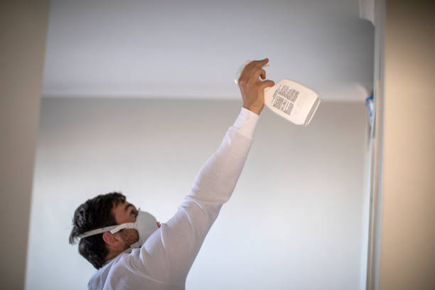 Best Commercial Mold Removal  in Springdale, NJ