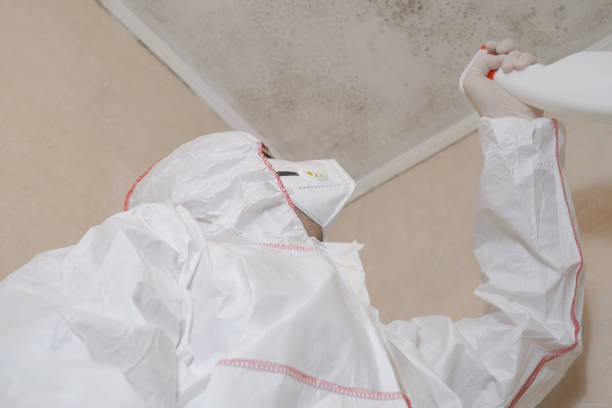 Best Residential Mold Removal  in Springdale, NJ